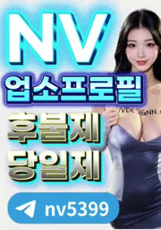 디자인 디자인